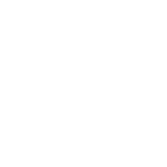 Icon — Dedisystems